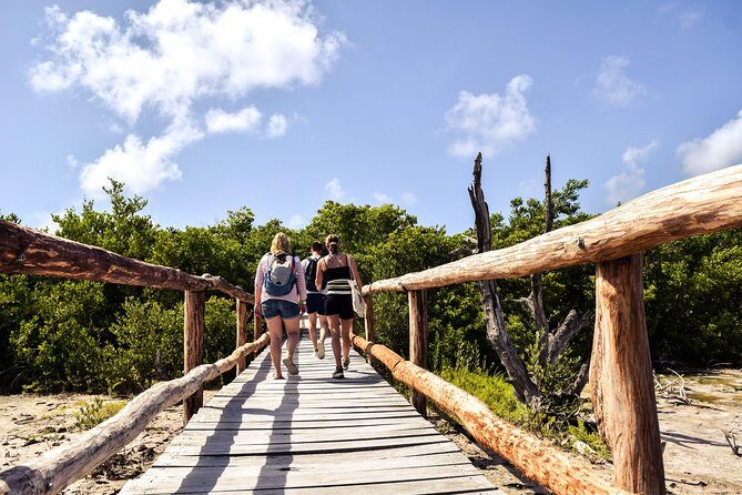 Punta Sur Eco Beach Park Electric Bike Tour in Cozumel - Riding through Punta Sur’s Natural Beauty