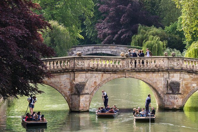 Punting Tour in Cambridge - The Sum Up
