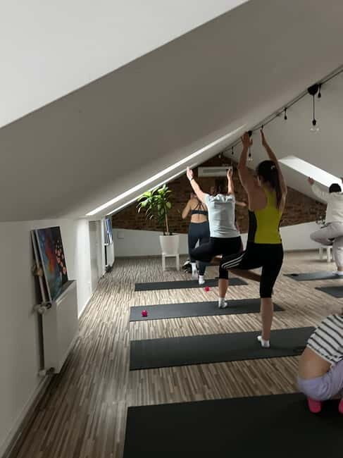 Puppy Yoga in Riga - An In-Depth Look at Puppy Yoga in Riga