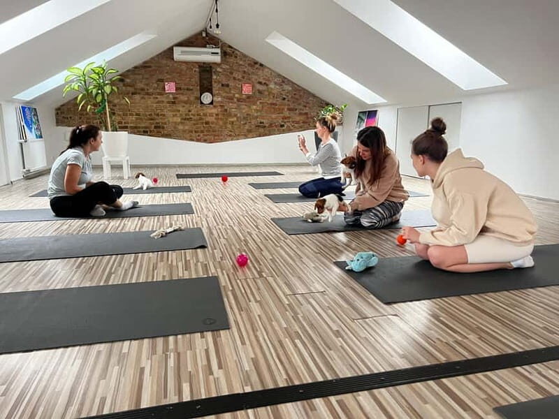 Puppy Yoga in Riga - Final Words