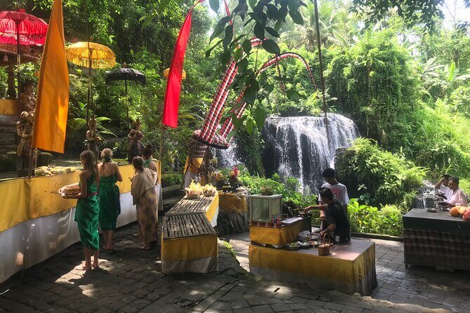 Purification Holy Bath at Beji Gria Waterfall - Who Is This Tour Best For?