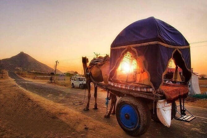 Pushkar Cultural Day Trip from Jaipur - Exploring Pushkar’s Spiritual Landmarks