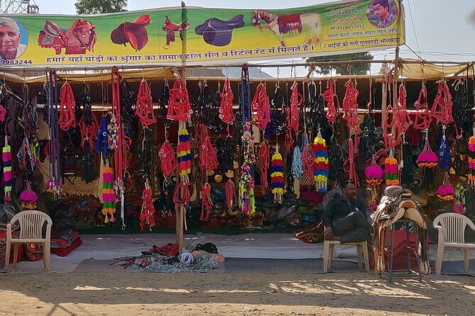 Pushkar Private Day Trip from Jaipur - A Deep Dive into the Experience: What to Expect