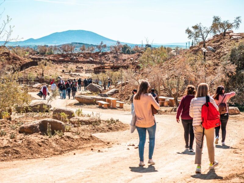 Puy du Fou España Entry Ticket - An In-Depth Look at the Experience