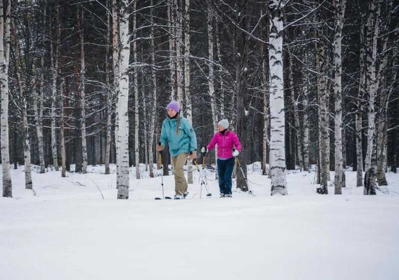 Pyhä: Skiing Tour in Arctic Forest - An In-Depth Look at the Pyhä Skiing Tour