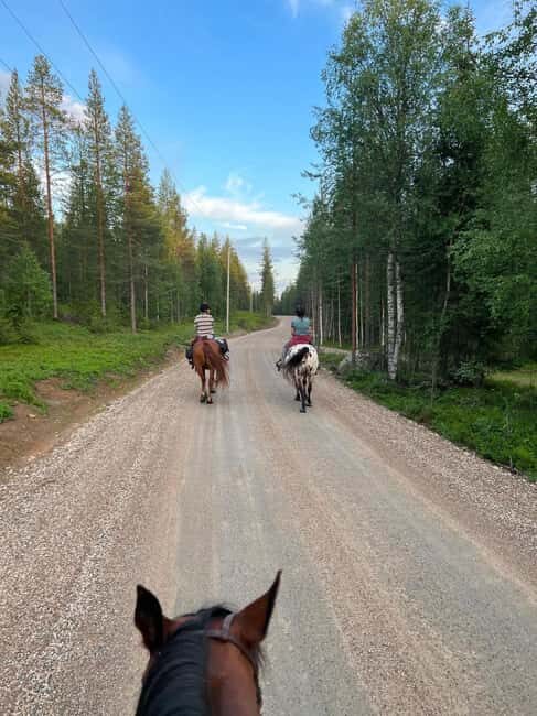 Pyhä: Small Group Horseback Riding Adventure - Key Points