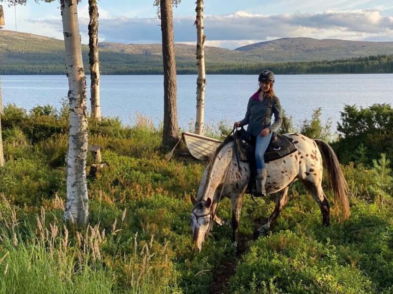 Pyhä: Small Group Horseback Riding Adventure - Why This Tour Offers Great Value