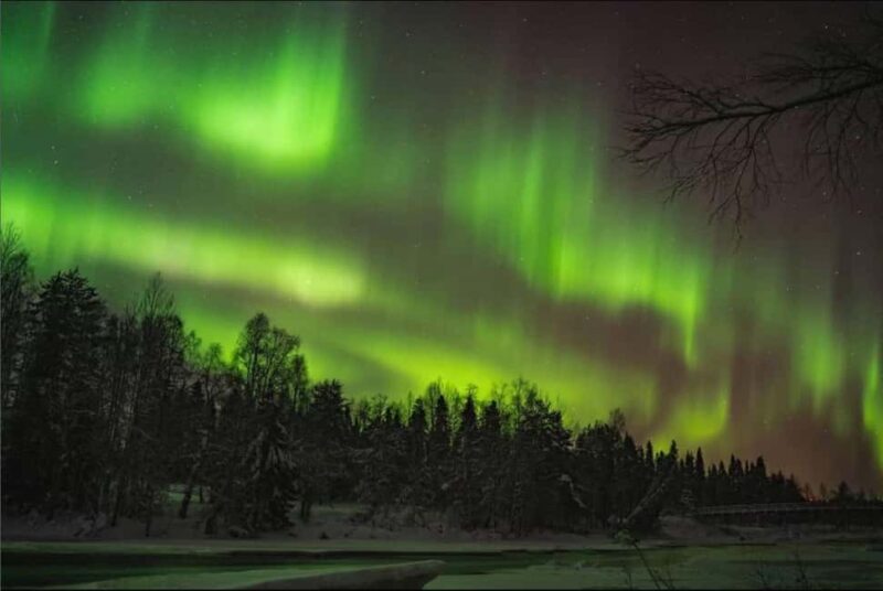 Pyhätunturi: Northern Lights Hunting Tour with Hot Drinks - Value for Money