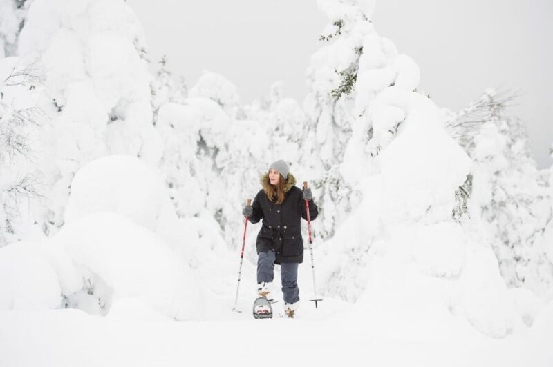 Pyhätunturi: Scenic Snowshoeing Tour in Finnish Lapland - What’s Included & Practical Tips