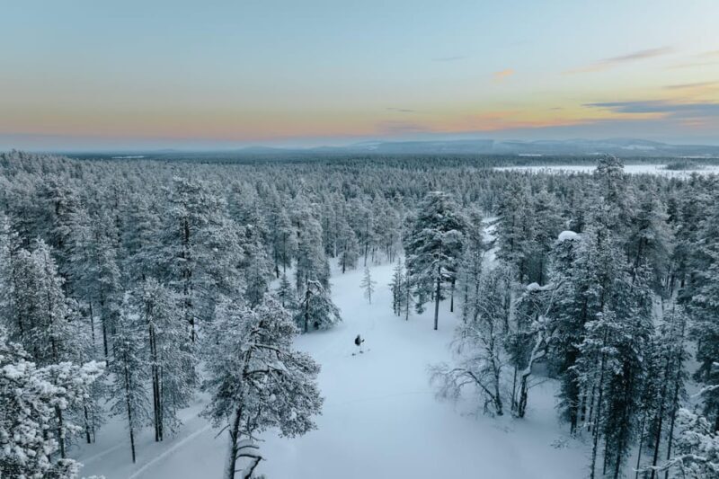 Pyhätunturi: Try Wilderness Skiing in Finnish Lapland - Cost and Value