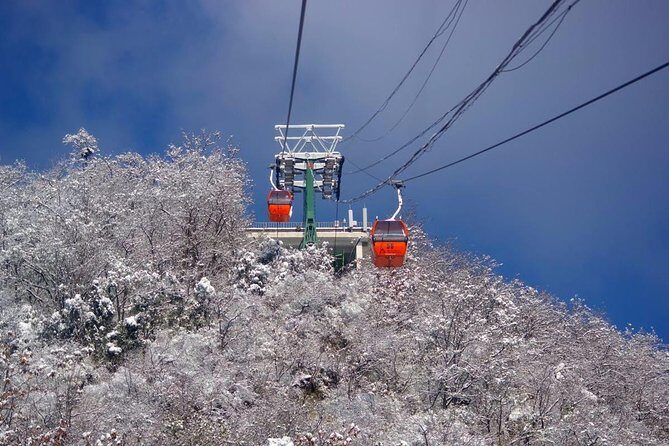 Qingdao Private Day Trip to Mutianyu Great Wall with Cable Car or Toboggan Ride - Who Would Love This Tour?