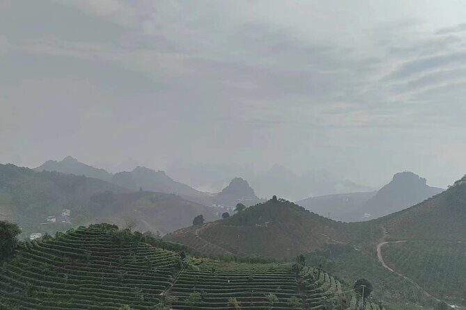 Qixianfeng Tea Plantation Tour in Yangshuo - A Closer Look at the Tour Itinerary