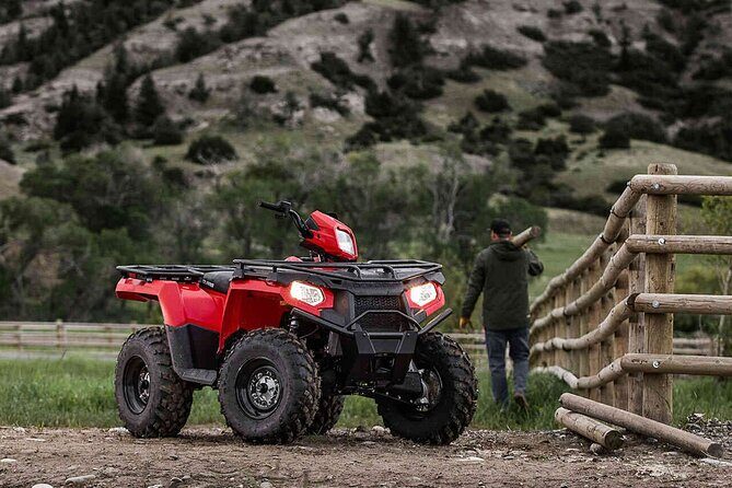 Quad Bike Safari in the Wilderness (ATV) - A Closer Look at the Experience