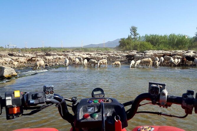 Quad Bikes for Guided Tours. - What to Expect During the Tour