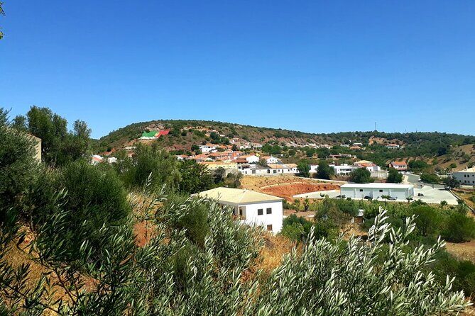 Quad Biking Sightseeing Tour in Albufeira - The Overall Value