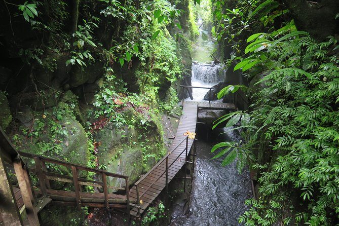 Quad or Buggy Tour with Canyon Tubing Adventure in Bali - What Reviewers Say: Authentic Insights