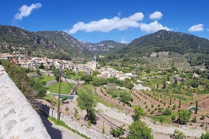 Quad tour from Paguera 3 hours - The Sum Up: Is This Tour Right for You?