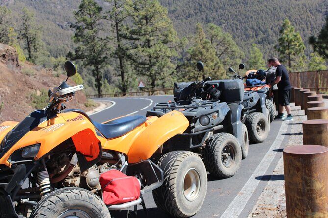 Quad Tour to the Teide National Park (3.5H) - Who Is This Tour Best For?