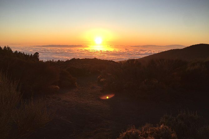 Quad tour (up to 2 people) - A Deep Dive into the Quad Experience in Tenerife