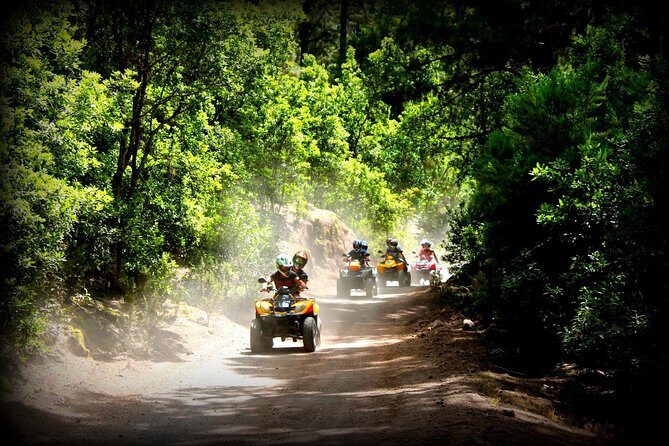 Quad Tour Volcano Teide Adventure - Meeting Point and Logistics
