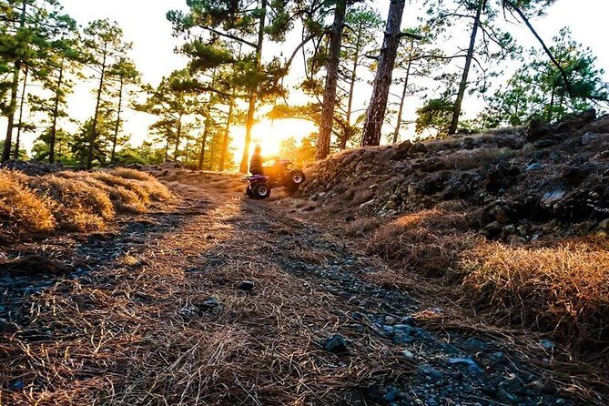 Quad Tour Volcano Teide Adventure - Authentic Insights from Travelers