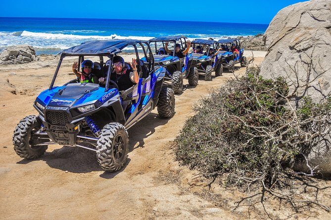 Quadruple or Double Razor Tour on Beach and Desert from Cabo San Lucas - Key Points