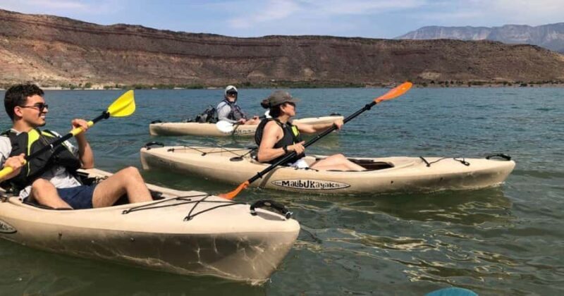 Quail Creek: Kayak or Stand-Up Paddleboard Tour - Key Points