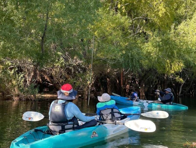 Quail Creek: Kayak or Stand-Up Paddleboard Tour - An In-Depth Look at Quail Creek Kayak & Paddleboard Tour