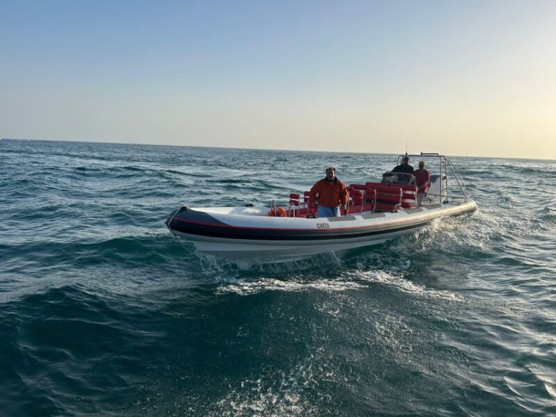 Quarteira: Algarve Coast, Caves and Dolphin Watching Cruise - Final Thoughts