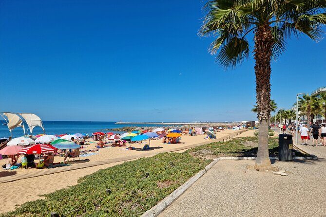 Quarteira and Vilamoura Half Day Tour - Final Thoughts on Value and Who It’s For