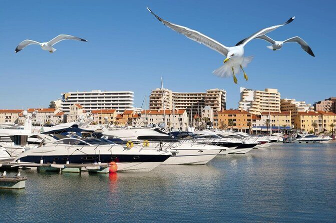 Quarteira Town & Gypsy Market Tour with Beach Bliss - Key Points