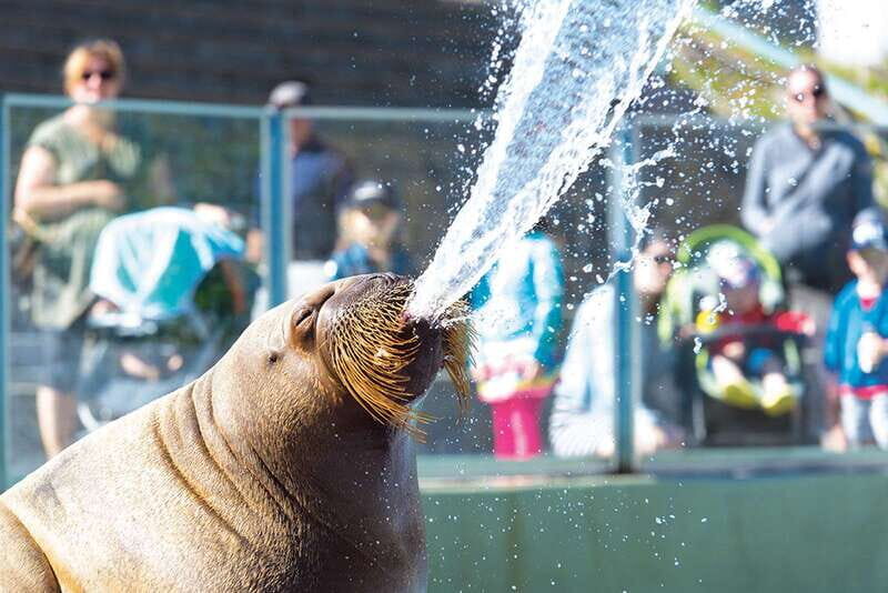 Quebec: Aquarium du Quebec Entry Ticket - Who Will Love the Aquarium du Quebec?