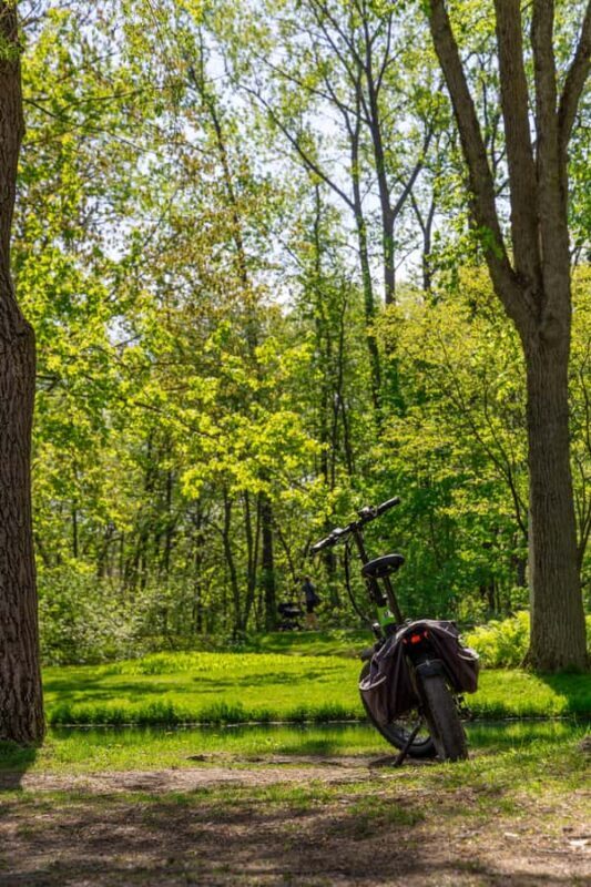 Quebec City: E-Bike Tour to Le Grand Marché - Food Scene - FAQs