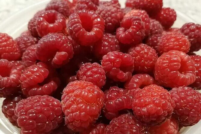 Quebec City - E-Tandem Rental on Ile d'Orléans - Exploring Ile dOrléans on Two Wheels