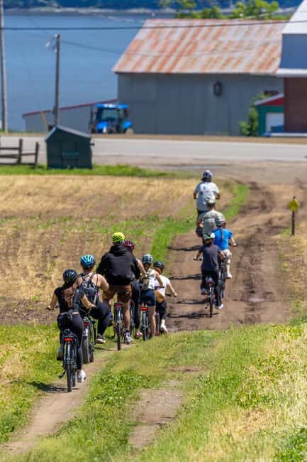 Quebec City: Electric Bike Rental on Ile d'Orléans - Who Should Consider This Tour