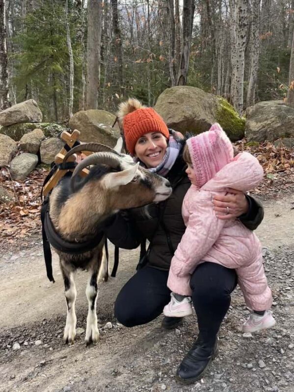 Quebec City: Guided Goat Hike & Beaver Dam Visit with Picnic - Who Should Consider This Tour?