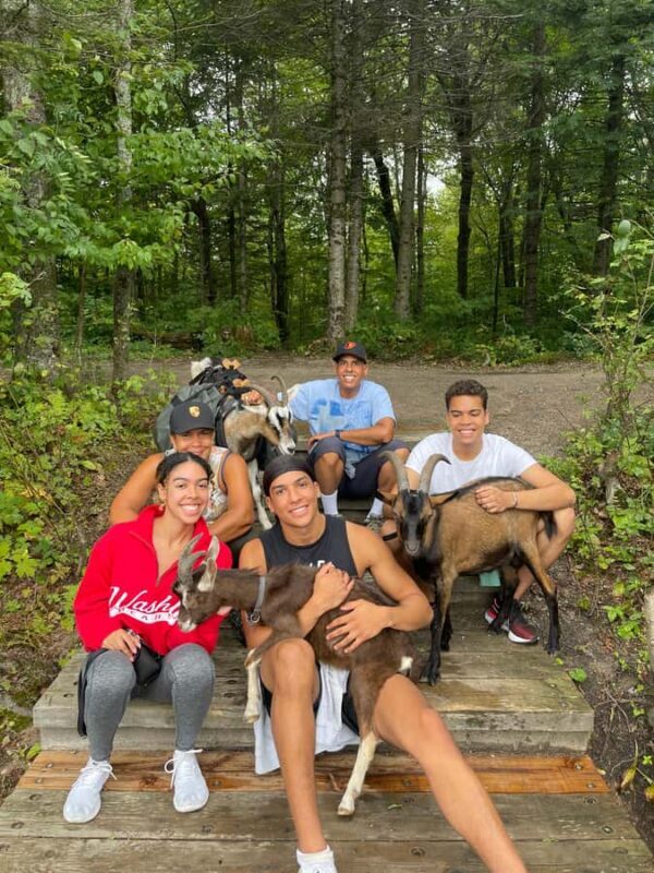 Quebec City: Guided Goat Hike & Beaver Dam Visit with Picnic - The Sum Up