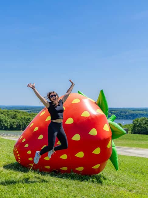 Quebec City: Ile d'Orléans Guided E-Bike Tour with Tastings - Who Will Love This Experience?