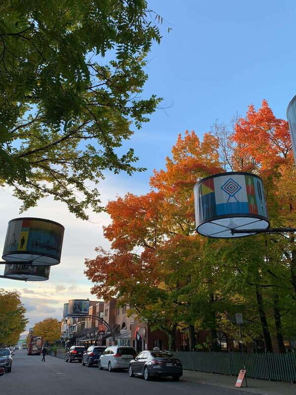 Quebec City: Montcalm & St-Jean Baptiste Walking Tour (2,5h) - Diving Into Quebec City’s Neighborhoods