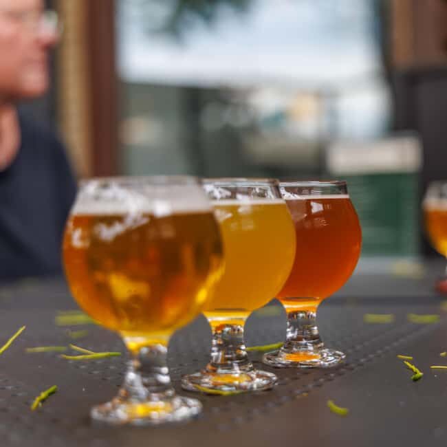 Quebec City: Montmorency Falls and Microbrewery eBike Tour - What Makes This Tour Stand Out?