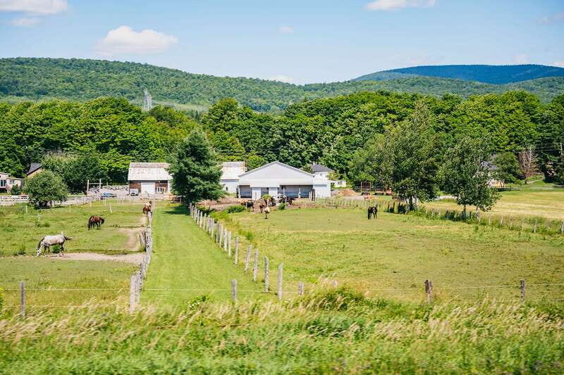 Quebec City: Montmorency Falls & Ile d'Orleans Half-Day Tour - Final Thoughts: Who Will Love This Tour?