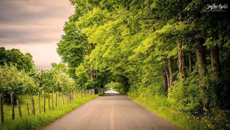 Quebec City - Tandem Bike Rental on Ile d'Orléans - What the Reviews Say