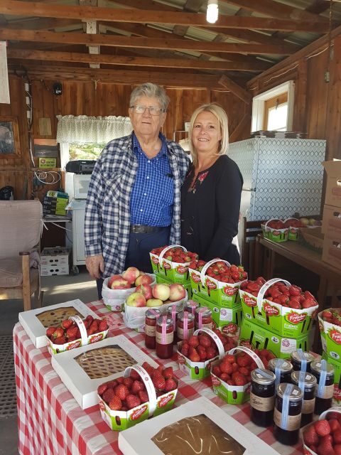 Quebec City - Tandem Bike Rental on Ile d'Orléans - The Sum Up