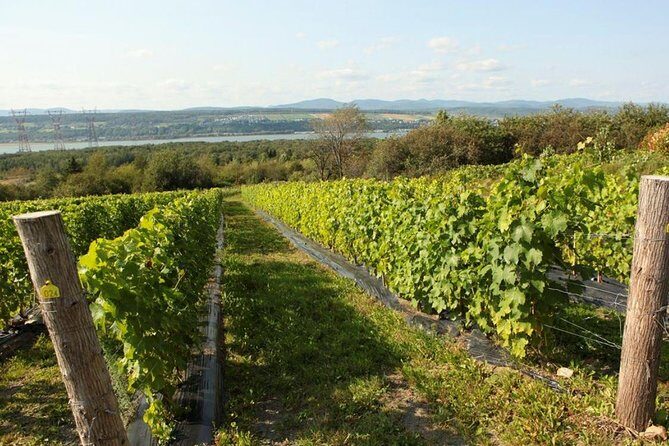 Quebec City - Tandem Bike Rental on Ile d'Orléans - FAQs