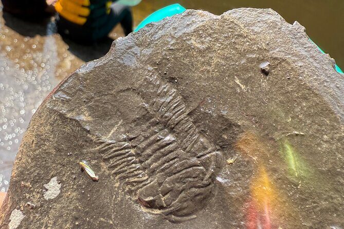 Quebec: Guided Rafting and Inflatable Kayaking  Family Activity - Why this Experience Excels