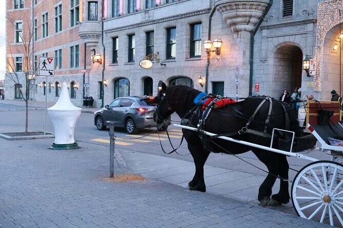 Quebec VIP premium guided experience in the heart of the old town - Stop 4: Place Royale (1 hour)