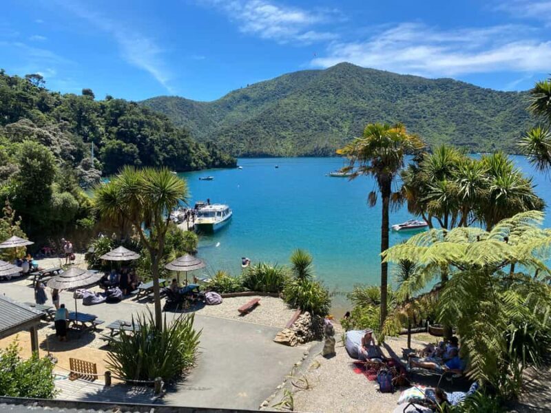Queen Charlotte Sound: Lochmara Cruise & Explore 9-2.45 - Who Will Love This Experience?