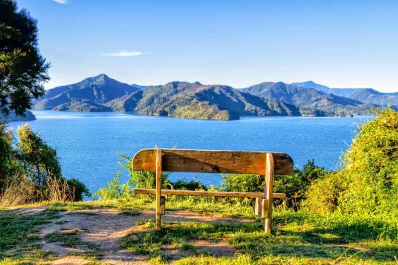 Queen Charlotte Track: Cruise & Self-Guided Hike from Picton - An In-Depth Look at This Queen Charlotte Track Experience