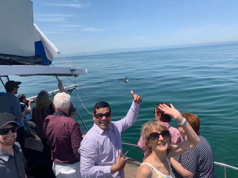 Queenscliff: 1.5hr Harbour Wildlife Sightseeing Cruise Tour - The Sum Up: Is it worth it?