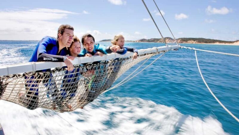 Queenscliff Harbour: 3.5hr Seal & Dolphin Snorkelling Tour - Key Points